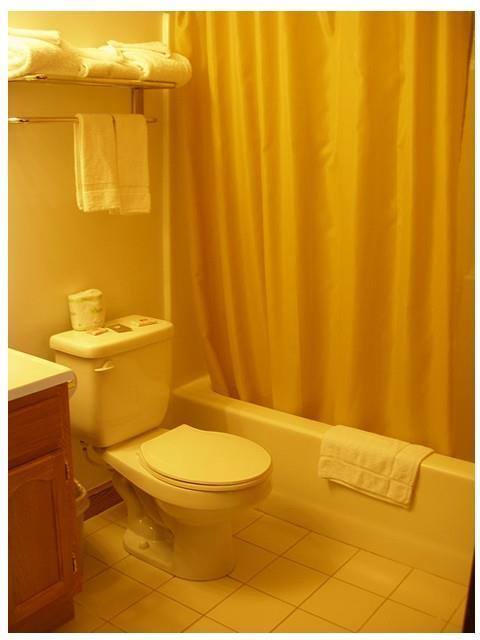 Red Carpet Inn Wind Gap Rom bilde